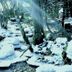 Auberge De La Poulcière in Gérardmer: snowy forest with snow-covered rocks and trees