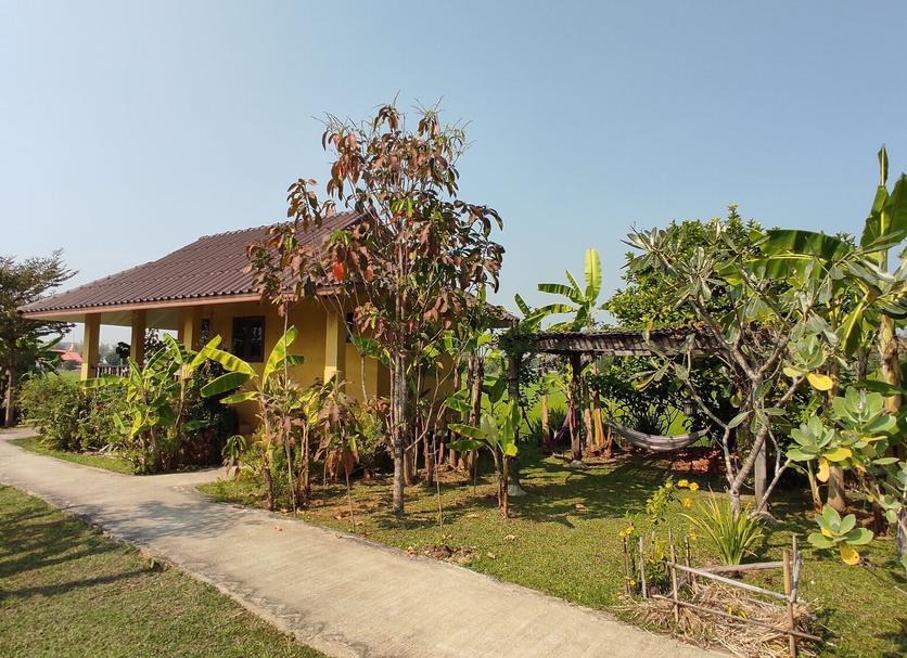 Other Photo