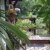 Outdoors view