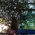Outdoors view