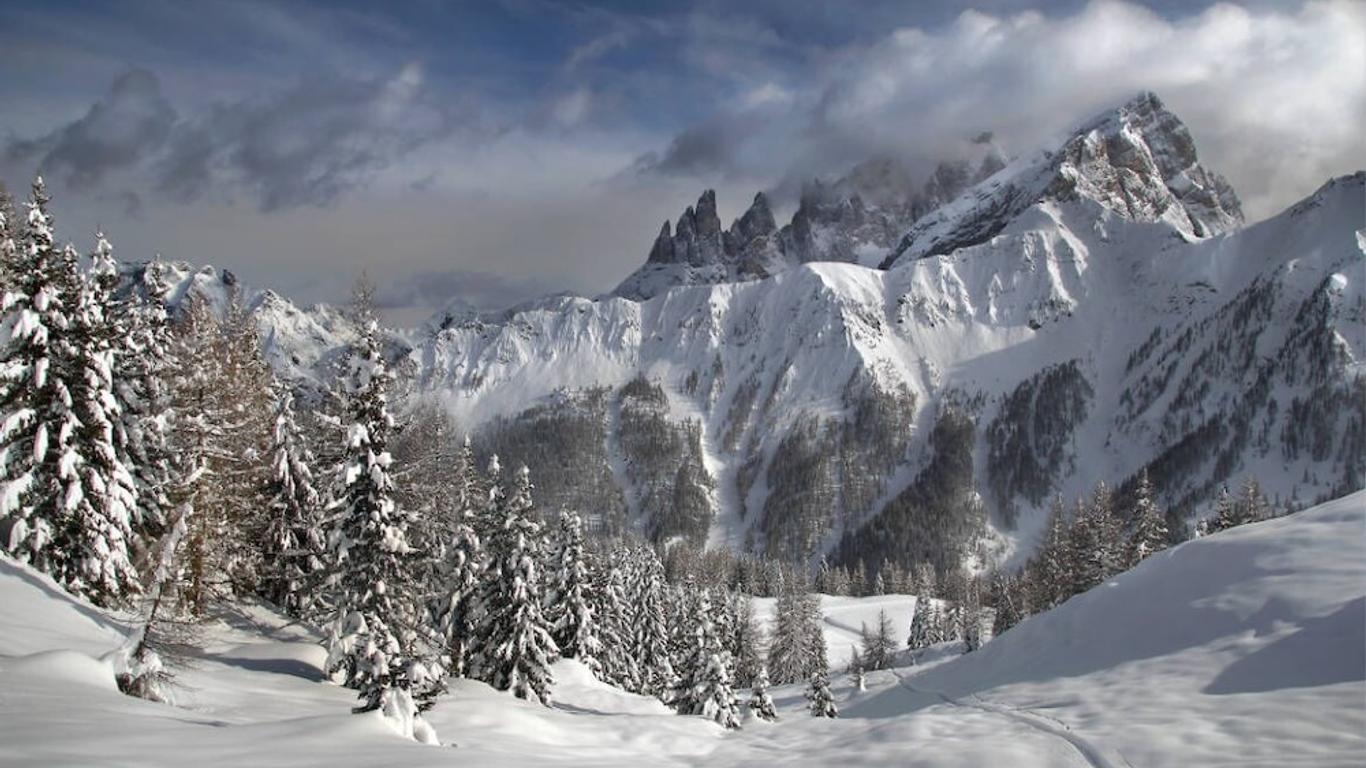 Hotel Stella Alpina