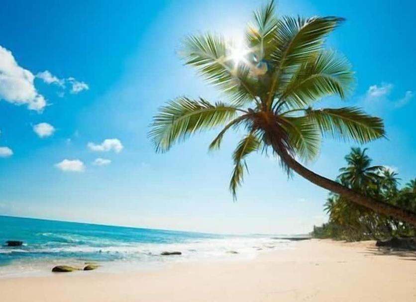 Beach Photo