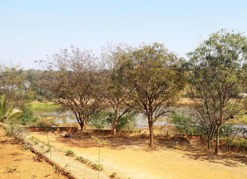 Outdoors view Photo