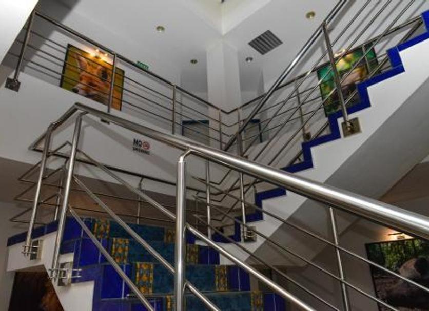 Stairs Photo