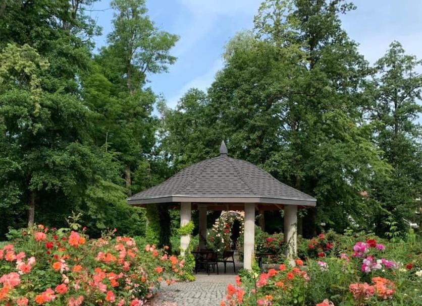Outdoors view Photo