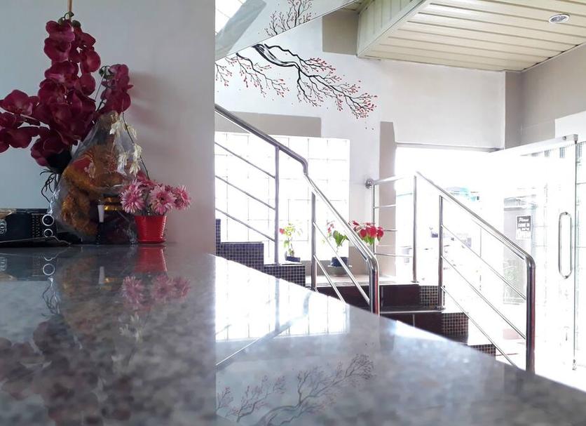 Stairs Photo