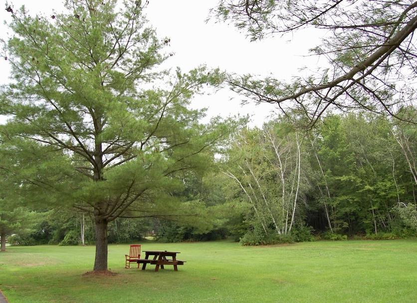Outdoors view Photo
