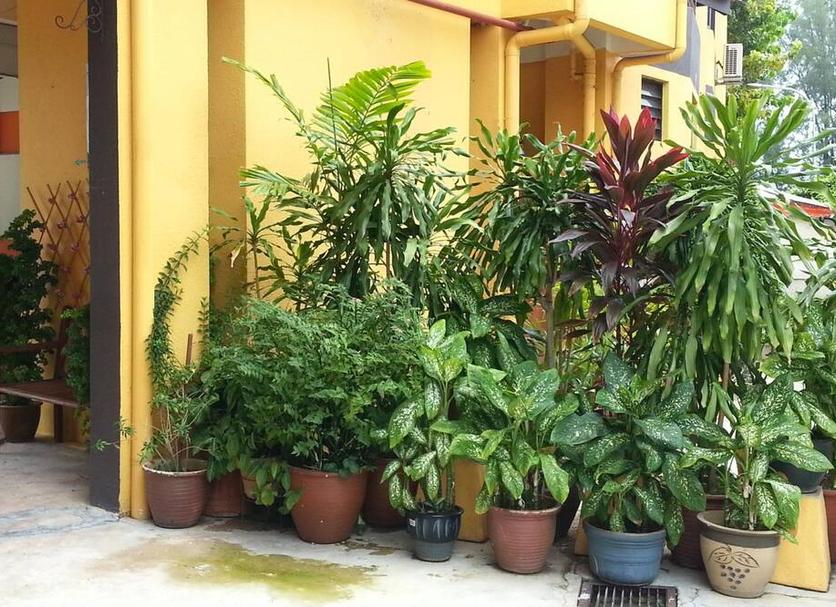 Outdoors view Photo