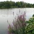 Outdoors view