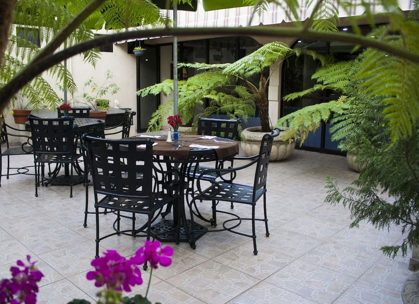 Hotel Casino Plaza Guadalajara outdoor courtyard seating with tables, chairs, and tropical plants