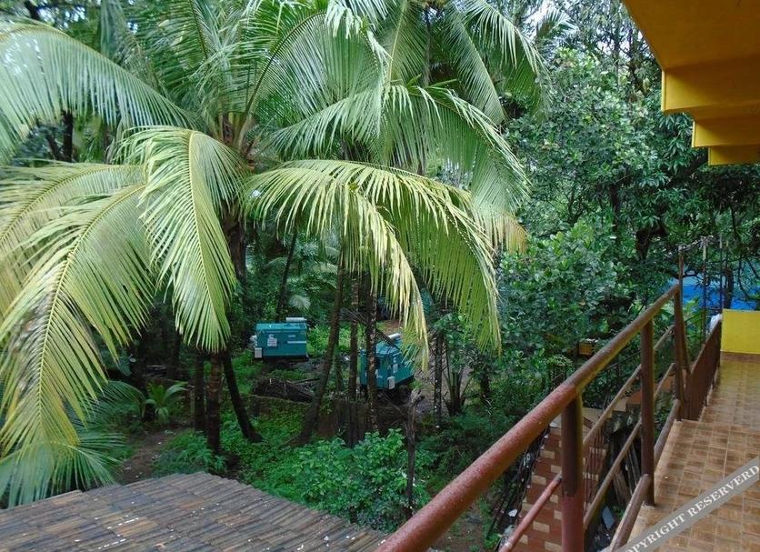 Outdoors view Photo