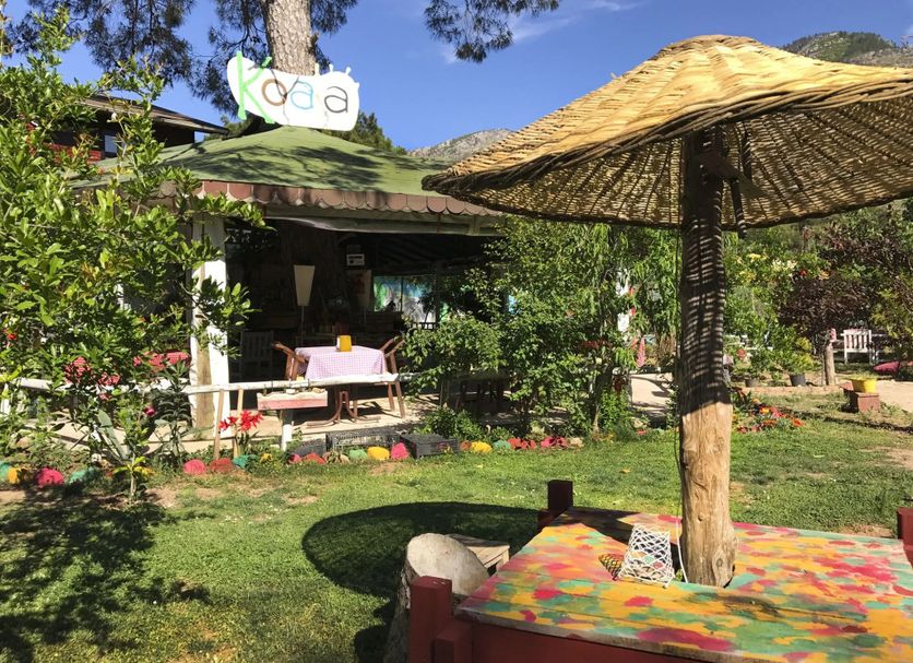 Patio Photo
