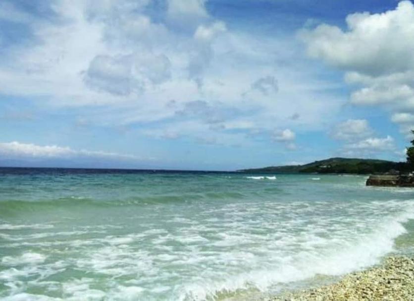 Other Photo