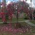 Outdoors view