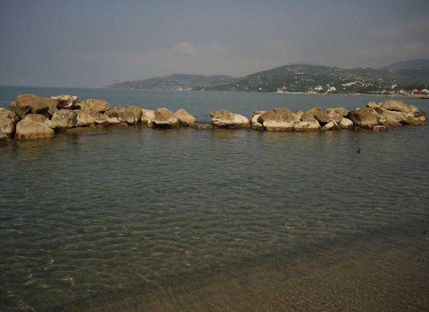 Other Photo