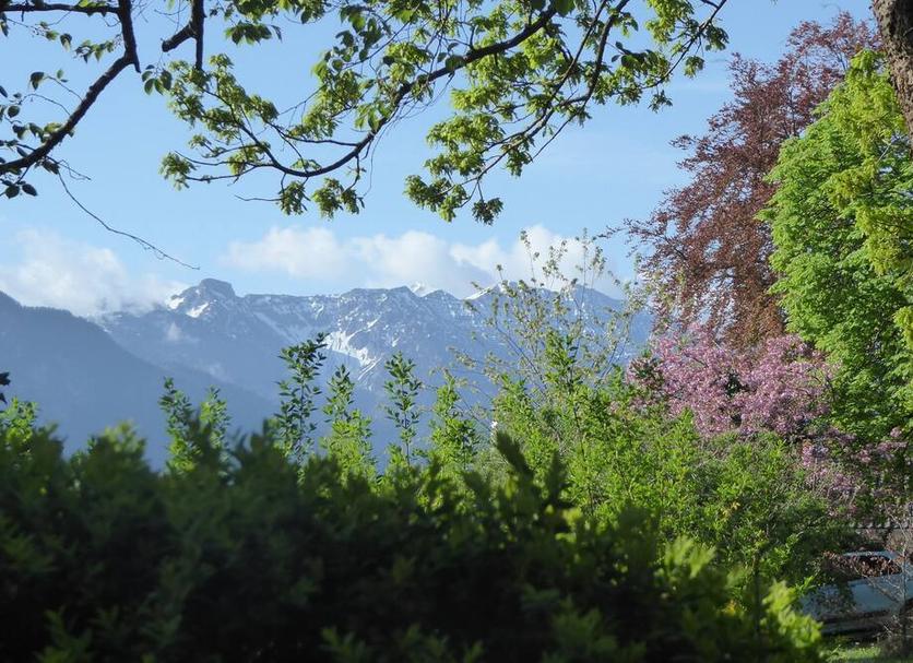 Outdoors view Photo
