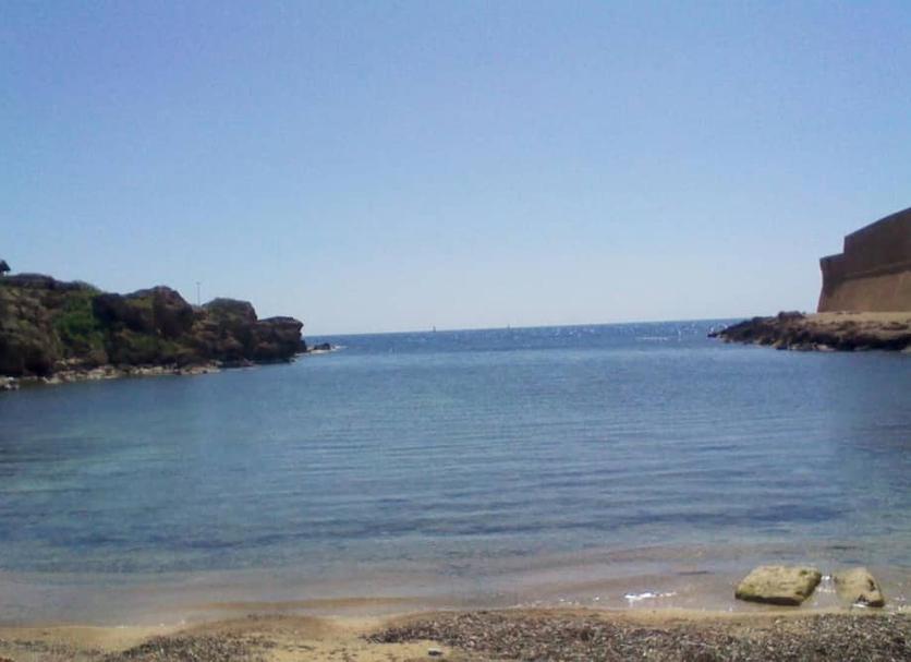 Other Photo