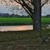 Weserlounge Hotel Garni in Hessisch Oldendorf with riverside lawn, trees and a small patio table at sunset