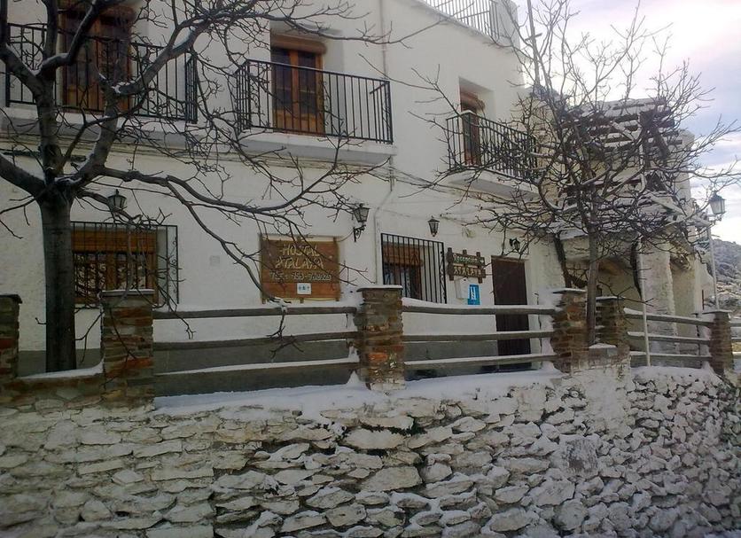 Other Photo