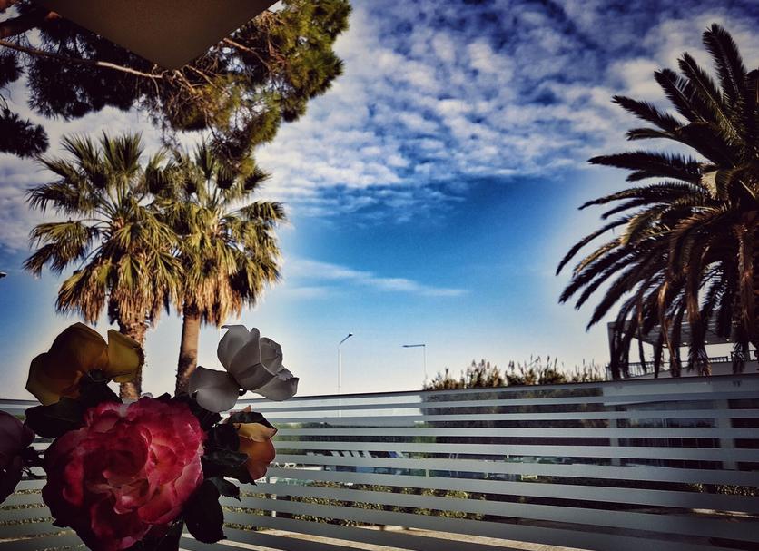 Outdoors view Photo