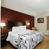 Red Roof Inn Hillsville guest room with king bed, desk, TV, lamps, and window with curtains