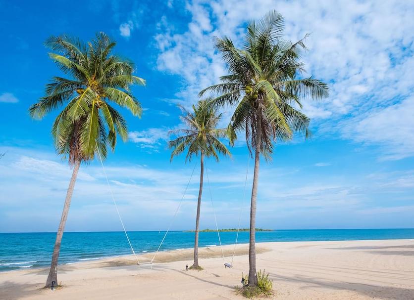Beach Photo