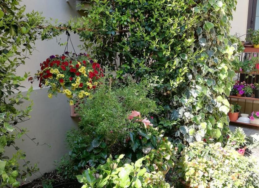 Outdoors view Photo