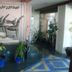 Hotel Art in Sarajevo lobby with horse wall art, potted plants and blue geometric floor accents