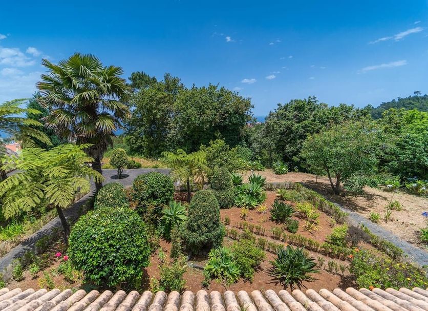 Casa da Tia Clementina in Santana with lush tropical garden and hillside landscape under blue sky