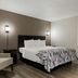 Red Roof Inn Hartford - New Britain guest room with king bed, armchair, wall sconces, and window curtains