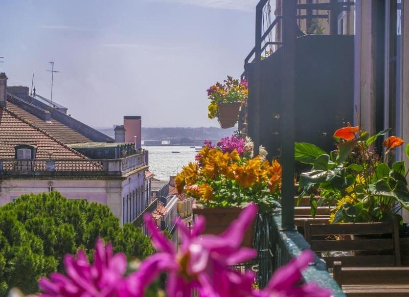 Outdoors view Photo