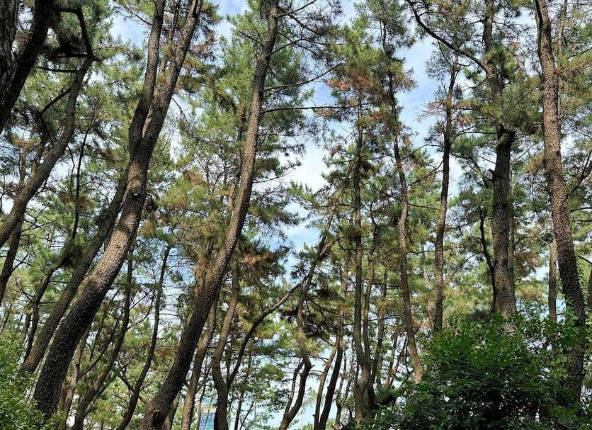 Outdoors view Photo