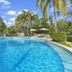 Montpellier Boutique Resort in Noosaville features a curved outdoor pool surrounded by palm trees and loungers.