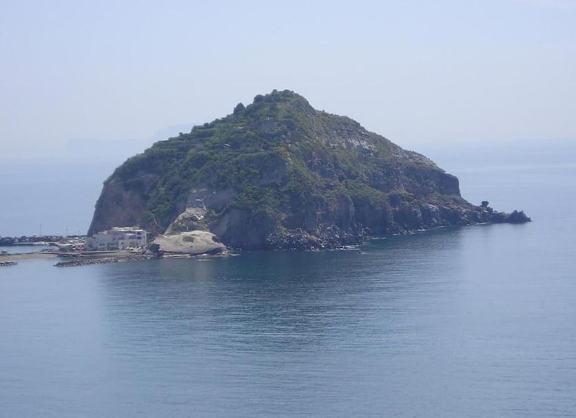 Other Photo
