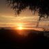 Akay Garden Family Club in Ildir with sunset sea view through silhouetted trees