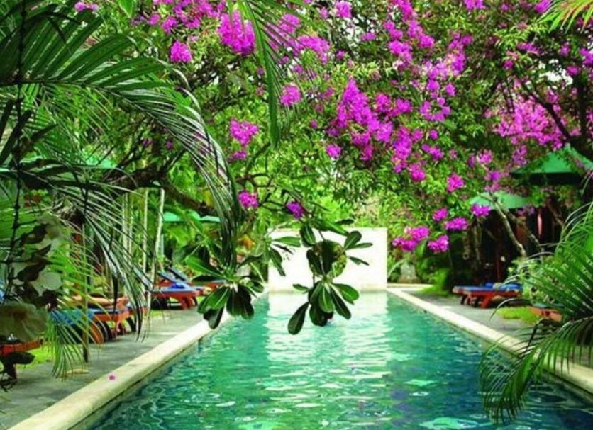 Pool Photo