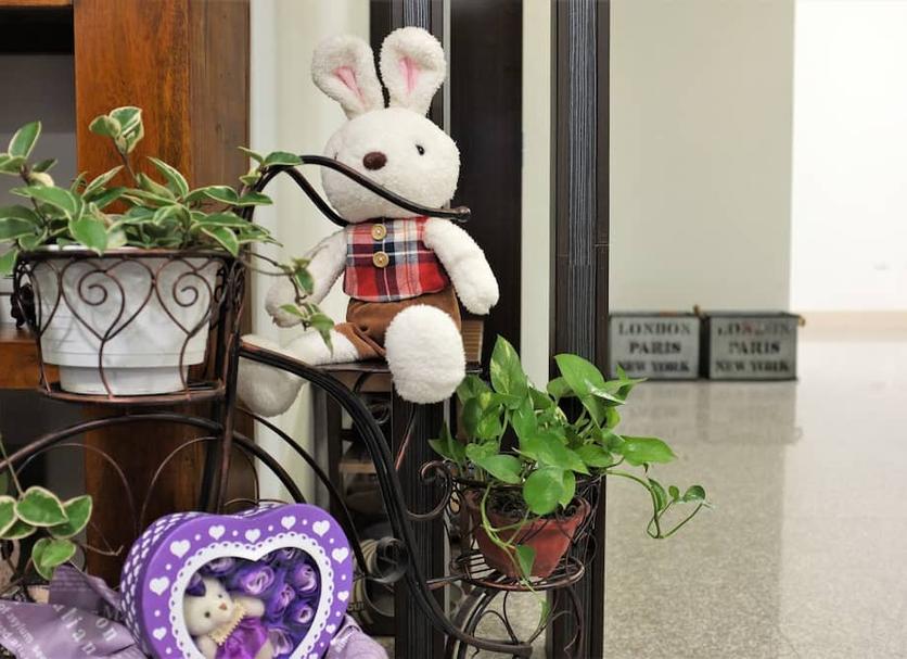 Room amenity Photo