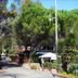 Tigullio Camping & Resort in Sestri Levante with tree-lined paths and shaded outdoor seating