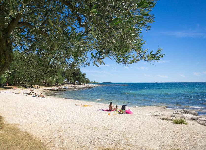 Beach Photo