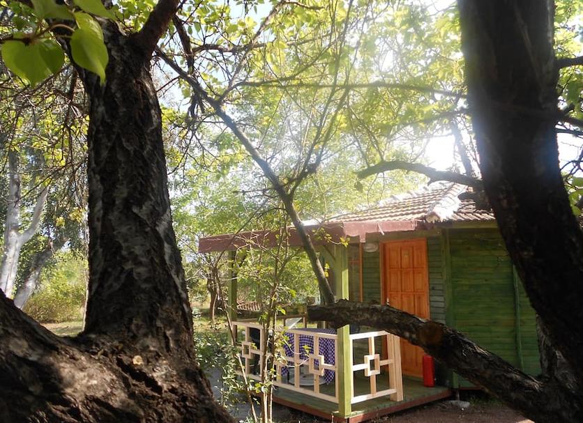 Outdoors view Photo