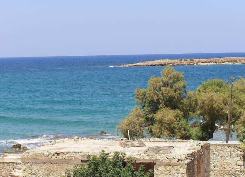 Other Photo