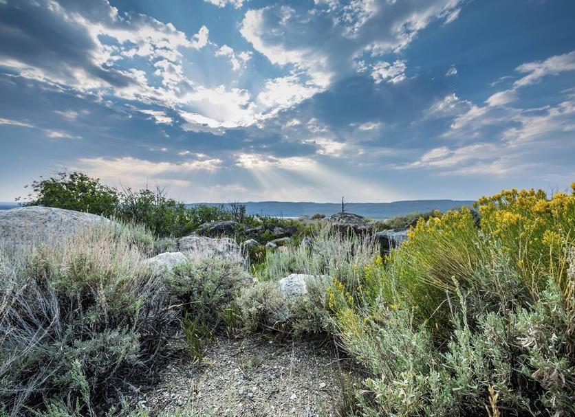 Outdoors view Photo