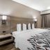 Red Roof Inn Greenville guest room with king bed, bedside lamps and curtained window in Greenville