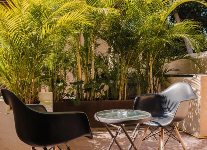 Patio Photo
