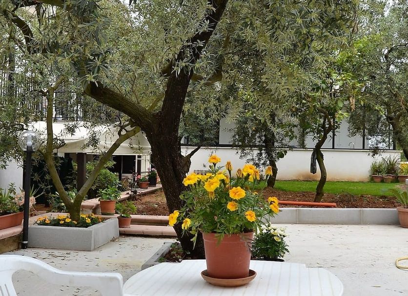 B&B Il Girasole in Formia: shaded courtyard with potted yellow flowers and a large tree