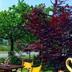 Outdoors view