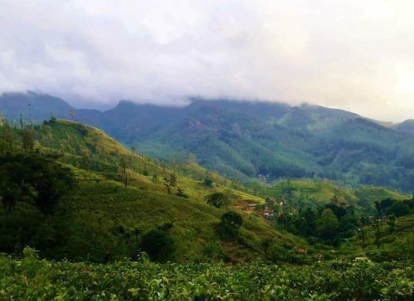 Outdoors view Photo