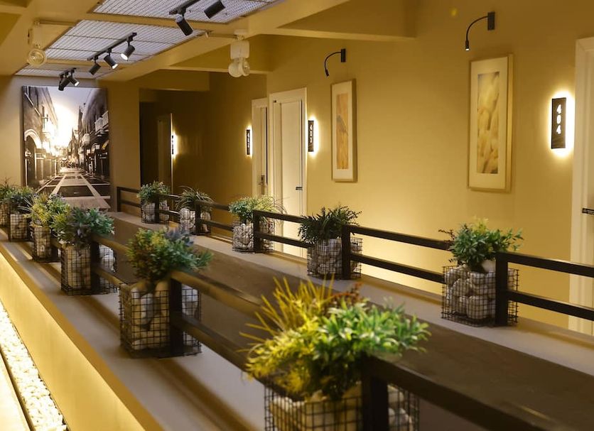 Esin Hotel in Denizli hallway with potted plants, wall art, and track lighting