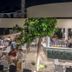 Golden Coast Hotel & Bungalows in Marathon: outdoor poolside bar and dining area with guests seated at tables