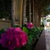 Outdoors view